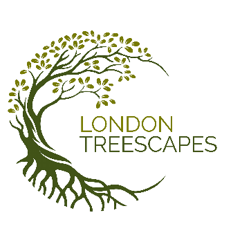 London Treescapes Tree surgeon Greenwich London